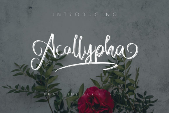 Acallypha Script Font for Elegant Brand Identity