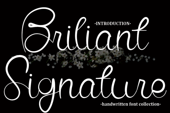 Briliant Signature: A Contemporary Script Font for Polished Digital Branding