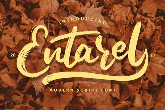 Entarel Font for Elegant Branding and Fashion Design