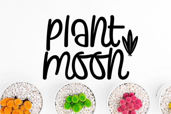 Plants and Moon Script Font for Handmade Creatives