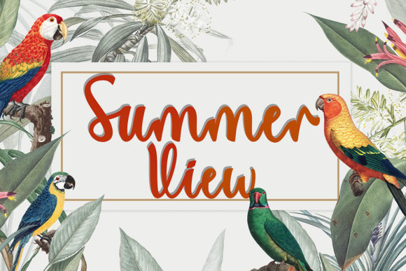 Summer View Script Font for Elegant Digital Branding