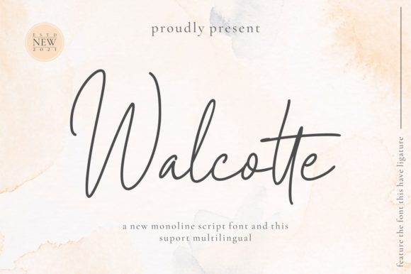Walcotte Font for Elegant Branding and Social Media Posts